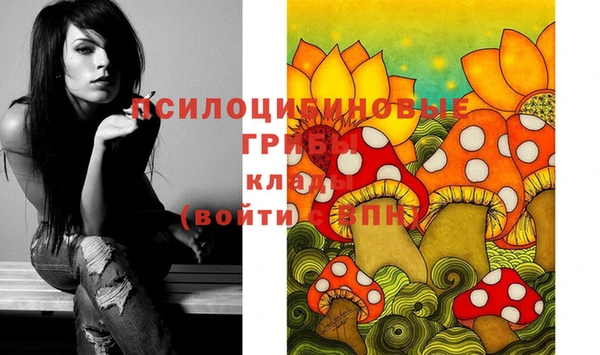 кокаин перу Новозыбков