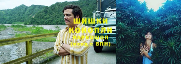 амф Нефтегорск